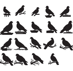 Naklejka premium Silhouette of a Pigeon on branch vector collection
