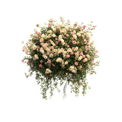 realistic tropical hanging vines with twisted stems and exotic flowers isolated on transparent background