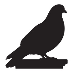 Simple and adorable flat colored Pigeon illustration in silhouette