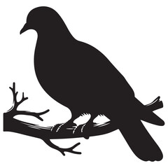 Silhouette of a Pigeon on branch vector Illustration