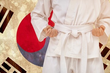 Midsection of martial artist against South Korean flag