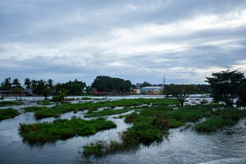 landscape with lake