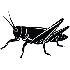 Grashoper vector silhouette Single collection 