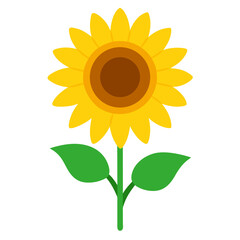 National Sunflower Day Sunflower: Bright Yellow Vector

