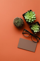 Plants and Glasses on Orange Background. Top View Flat Lay Composition on Desktop