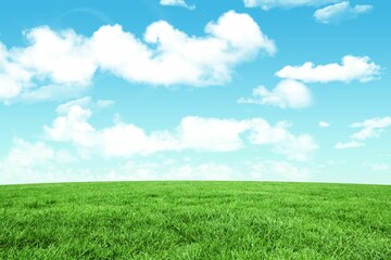 Obraz premium Grass field is stretching under bright blue sky in flat design, featuring white cumulus clouds
