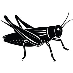 Grashoper vector silhouette Single collection 