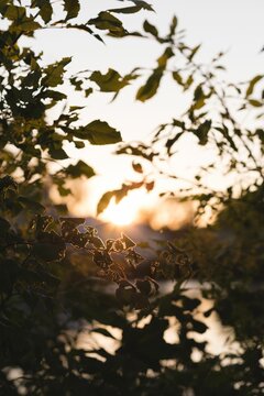 Fototapeta autumn leaves in front of a lake