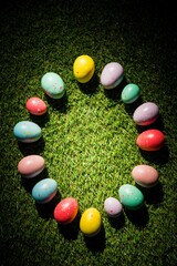 Various colorful Easter eggs in circle on grass © vectorfusionart
