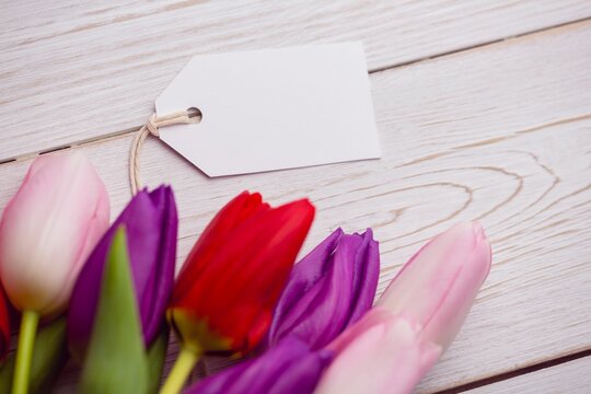 Fototapeta Flat design tag is resting on whitewashed wood tabletop, with cluster of pink purple red tulips