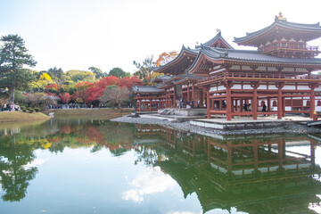 Fototapeta premium Byodo-in Temple Uji Kyoto Japan, Serene temple reflection on a tranquil pond in autumn scenery.
