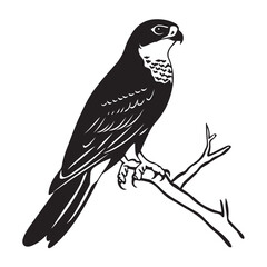 Fototapeta premium falcon on the tree branch line art silhouette vector illustration