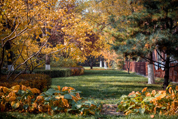 Autumn in an upscale residential area in Beijing, China