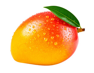 Whole Mango with Leaf and Water Droplets – Transparent PNG
