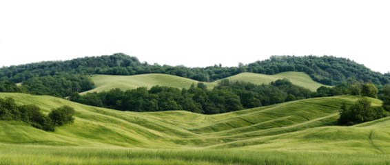 Gentle green hills with scattered trees and forest patches, isolated on transparent background