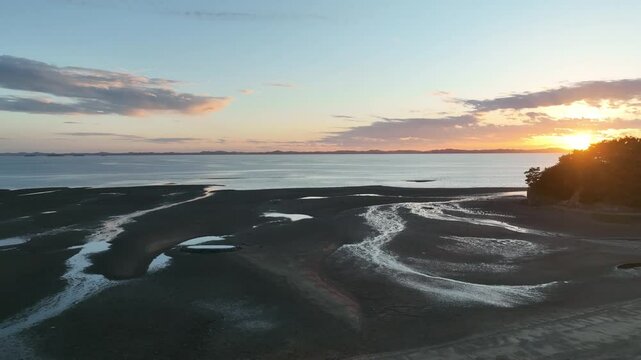 Drone Shot of Mudflats and Pine Forest at Sunset by the Sea