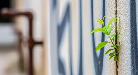 Hopeful Sprout Emerging from Concrete Wall - Symbolism of Resilience and New Life copy space