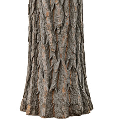 Isolated Tree Trunk Bark Texture Wood Background In Brown Color