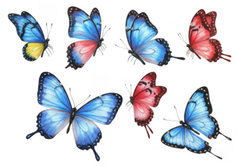Isolated Watercolor Illustration of Blue and Red Butterflies on Transparent