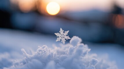 A delicate snowflake glistens atop fluffy snow, with a warm sunset glowing in the background, creating a serene winter scene.