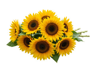 Fototapeta premium A bouquet of bright yellow sunflowers with green leaves and stems isolated on transparent background