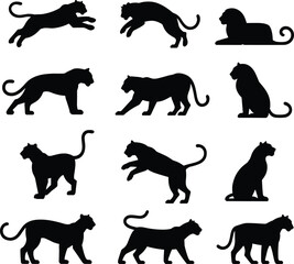 Black panther lion cheetah silhouettes in various poses, sitting walking running jumping, cad drawing, flat vector illustration, isolated animal