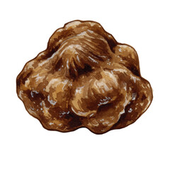 Illustration of an Isolated Brown Truffle Mushroom Gourmet Delicacy
