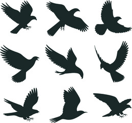 Flying bird silhouette vector collection, eagle pigeon hawk shapes, cad drawing, wildlife illustration, flat black birds, Adobe stock design