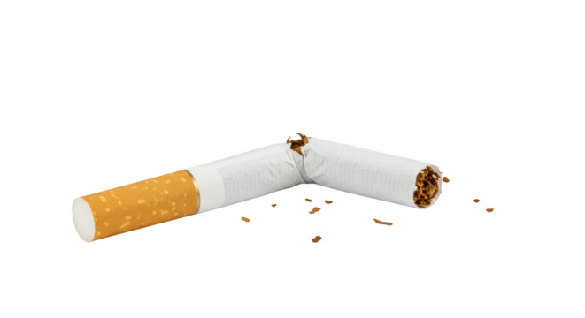 Isolated Broken Cigarette with Ash Transparent Background Studio Shot