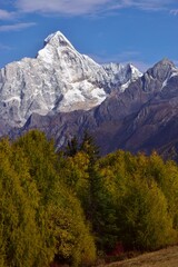 四川省　四姑娘山ハイキング