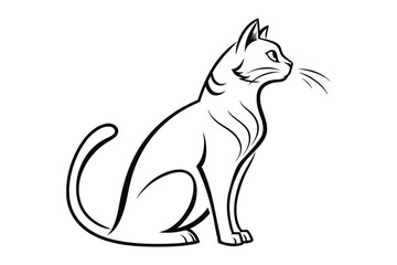 Fototapeta premium art design