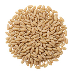 Light Beige Oblong Grains in Circular Pile on Transparent Background