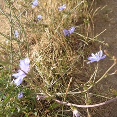 spring in the mountains