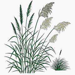 Stylized Illustration of Green and Cream Colored Reeds Swaying in the Breeze, Representing Nature's Delicate Beauty