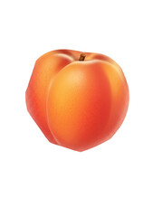 Isolated Fresh Apricot Fruit For Healthy Diet And Vegan Nutrition