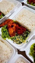 lunch box in the form of spicy chicken wings with rice