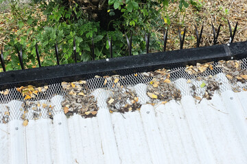 Dried Leaves on the Roof, Suitable for House Problems and Solutions.