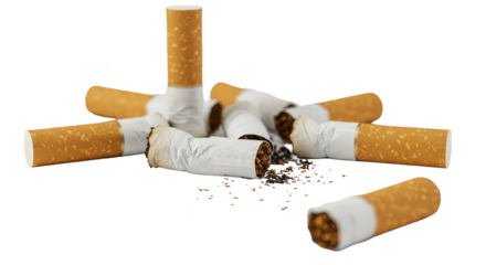 Illustration of Discarded Cigarettes Butts and Tobacco Ash in Studio