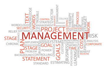 Business Management Word Cloud Concept – Strategy, Planning, Risk, Goals, and Process Keywords