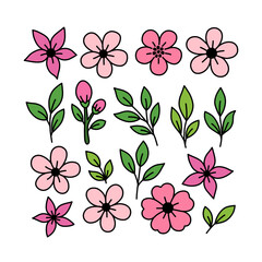 Simple Hand drawn Flower and Leaves Spring Blossom Element Botanical Illustration