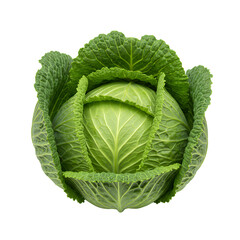 Fototapeta premium Vibrant Green Savoy Cabbage Isolated on Transparent Background