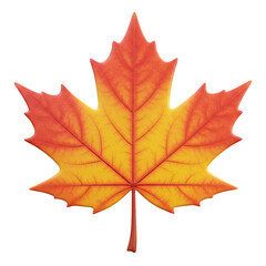 Fototapeta premium Vibrant Red to Yellow Maple Leaf Isolated on Transparent Background