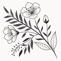 Floral design illustration