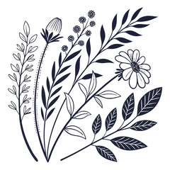 Floral design illustration