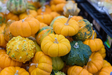 A vibrant pile of mini pumpkins in various shades of orange and green. Autumn background.