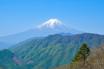 Fototapeta premium 大峠から見る富士山