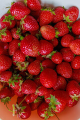 Fresh sweet strawberries in a white bowl . Seasonal berries.