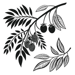Fruit branch graphic design