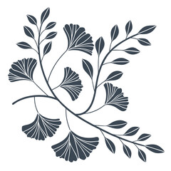 Ginkgo branches illustration