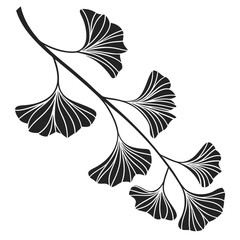 Ginkgo leaf branch illustration